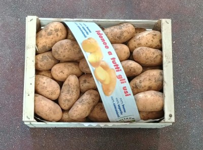 Foto Patate Bianche Calibro 50+ Origine Francia Marchio Patata Buona 3