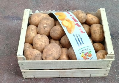 Foto Patate Bianche Calibro 50 Origine Francia Marchio Patata Buona 1