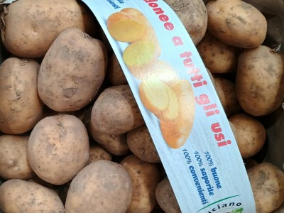 Foto Patate Bianche Calibro 50 Origine Francia Marchio Patata Buona 2