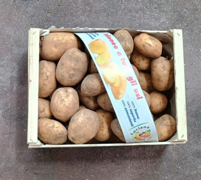 Foto Patate Bianche Calibro 50 Origine Francia Marchio Patata Buona 3