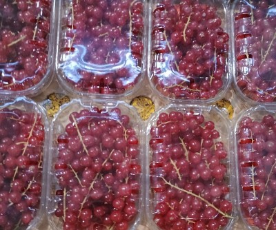 Foto Ribes  Confezione Da 8 Vaschette Da 125 gr Origine Italia Marchio  Perre Nazarena 2
