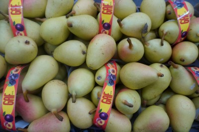 Foto Pere Ercoline Origine Chile  Marchio G.A.F. 2