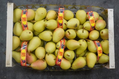 Foto Pere Ercoline Origine Chile  Marchio G.A.F. 3