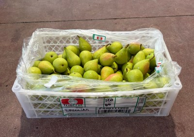 Foto Pere Ercoline Calibro 78 Origine Cile Marchio Agricola Gloria 1