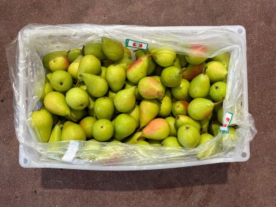 Foto Pere Ercoline Calibro 78 Origine Cile Marchio Agricola Gloria 3