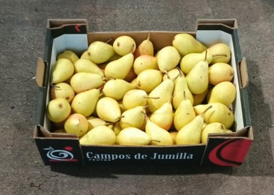 Foto Pere Ercoline Calibro 45+ Origine Spagna Marchio Campo De Jumilla 1