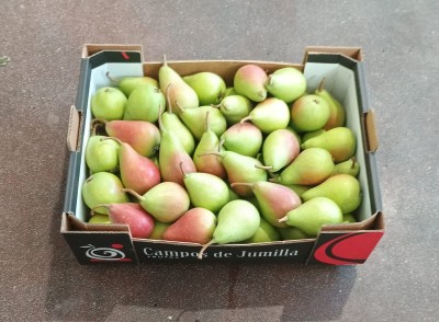 Foto Ercoline Calibro 50/55 Origine Spagna Marchio Campos De Jumilla 1