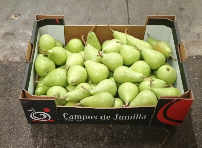 Foto Ercoline Calibro 45 Origine Spagna Marchio Campos De Jumilla 1
