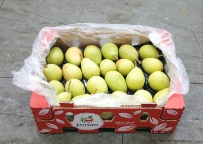 Foto Ercoline Origine Chile Marchio Frusan  1