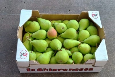 Foto Ercoline Calibro 50+ Origine Spagna Marchio ''La Chipranesca'' 1