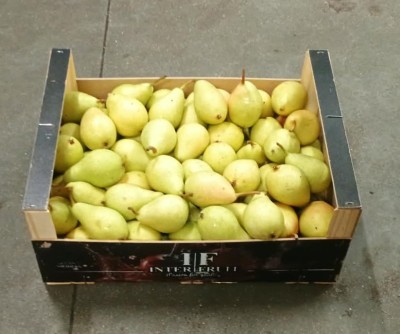 Foto Ercoline Calibro 50+ Origine Spagna Marchio Inter Fruit   1