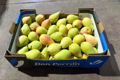 Foto Ercoline Calibro 50+ Origine Spagna Marchio Don Porron      1