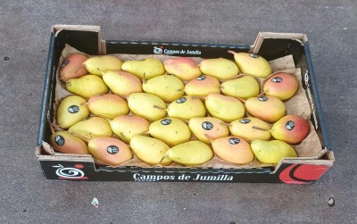 Foto Pere Ercoline Varietà Ercoline Calibro 50+ Origine Spagna Marchio Jumilla        1