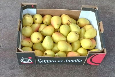 Foto Ercoline Calibro 57+ Origine Spagna Marchio Jumilla 1