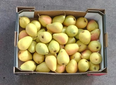 Foto Ercoline Calibro 57+ Origine Spagna Marchio Jumilla 3