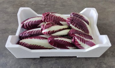 Foto Radicchio Lungo Origine Italia Marchio Battaglio 1