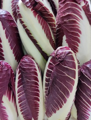 Foto Radicchio Lungo Origine Italia Marchio Battaglio 2