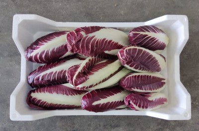 Foto Radicchio Lungo Origine Italia Marchio Battaglio 3