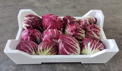 Foto Radicchio Tondo Origine Italia Marchio Battaglio    1