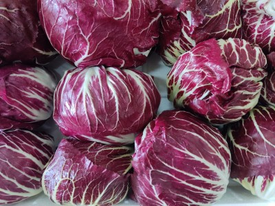 Foto Radicchio Tondo Origine Italia Marchio Battaglio    2