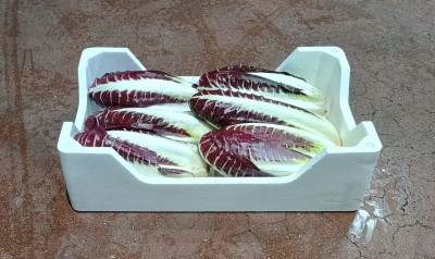 Foto Radicchio Lungo Origine Italia Marchio Al Fruit 1