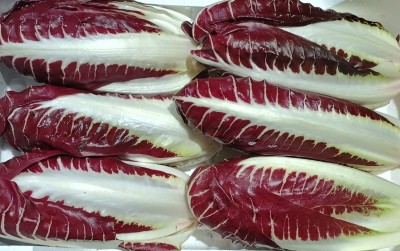 Foto Radicchio Lungo Origine Italia Marchio Al Fruit 2