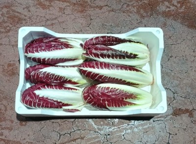 Foto Radicchio Lungo Origine Italia Marchio Al Fruit 3