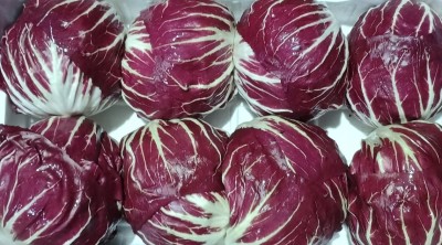 Foto Radicchio Tondo Origine Italia Marchio Al Fruit 2
