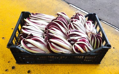 Foto Radicchio Tardivo Origine Italia Marchio Bragioto        1