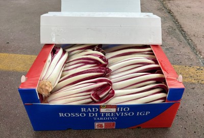 Foto Radicchio Tardivo Origine Italia Marchio Scattolin 1