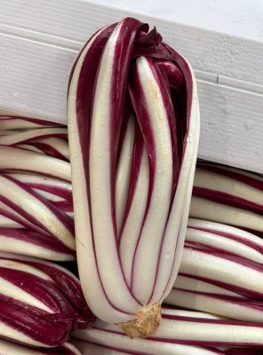 Foto Radicchio Tardivo Origine Italia Marchio Scattolin 2