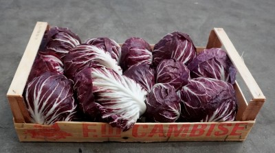 Foto Radicchio Tondo Origine Italia marchio Cambise       1