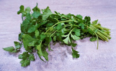 Foto Coriandolo  A mazzi Origine Italia Marchio Agriroma 1