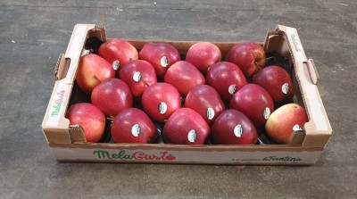 Foto Mele Royal Gala Calibro 80/85 Origine Italia Marchio Melagusto  1