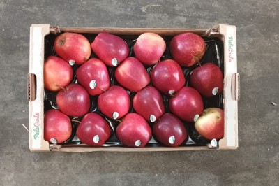 Foto Mele Royal Gala Calibro 80/85 Origine Italia Marchio Melagusto  3