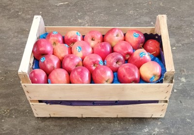 Foto Royal Gala Calibro 70+ Origine Italia Marchio Cdo  1