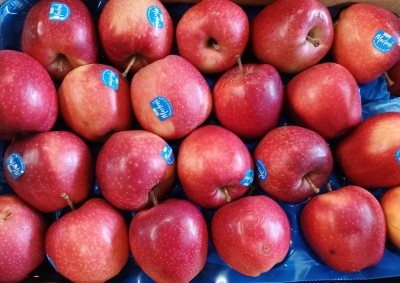 Foto Royal Gala Calibro 70+ Origine Italia Marchio Cdo  2