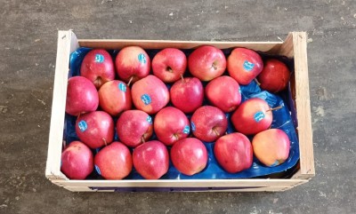 Foto Royal Gala Calibro 70+ Origine Italia Marchio Cdo  3