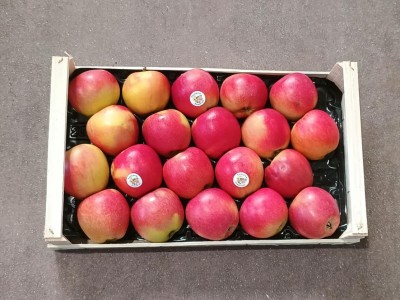 Foto Royal Gala Varietà Ipador Calibro 80/85 Origine Italia Marchio Luciano Fruit 3