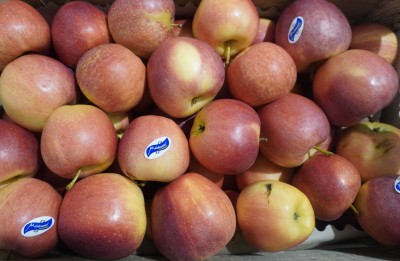 Foto Royal Gala Calibro 65+ Origine Italia Marchio Luciano Fruit 2