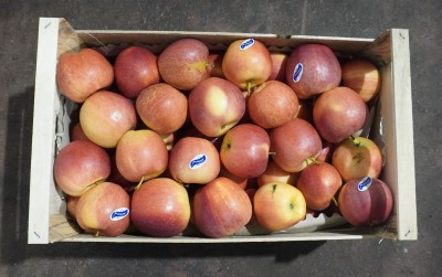 Foto Royal Gala Calibro 65+ Origine Italia Marchio Luciano Fruit 3