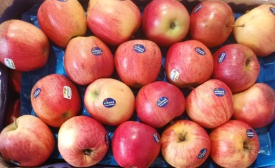 Foto Mele Royal Gala Calibro 70+ Origine Italia Marchio CENTRO DISTR. ORT. S.U.R.L. 2