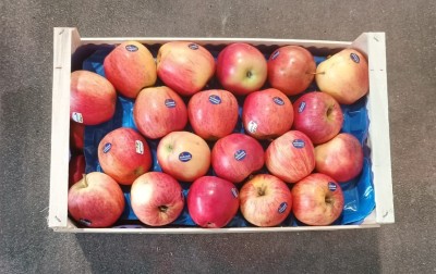 Foto Mele Royal Gala Calibro 70+ Origine Italia Marchio CENTRO DISTR. ORT. S.U.R.L. 3