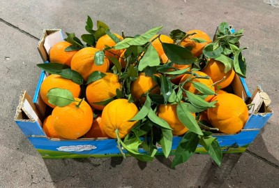 Foto Arance Affogliate Varietà  Navel Calibro 3 Origine Italia MArchio Triolo 1