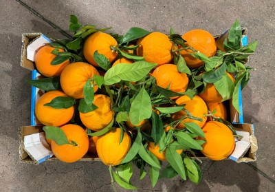 Foto Arance Affogliate Varietà  Navel Calibro 3 Origine Italia MArchio Triolo 3