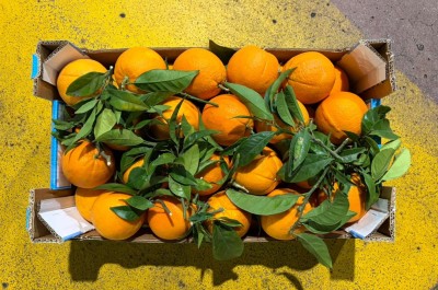 Foto Arance Varietà Navel Calibro 4 Origine Italia Marchio Triolo 2