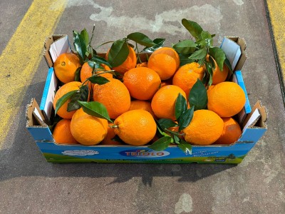 Foto Arance Affogliate Calibro 3 Origine Italia Marchio Triolo 1