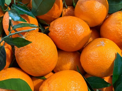 Foto Arance Affogliate Calibro 3 Origine Italia Marchio Triolo 2