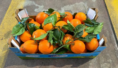 Foto Arance Affogliate Calibro 4 Origine Italia Marchio Triolo         1