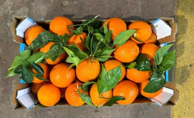 Foto Arance Affogliate Calibro 4 Origine Italia Marchio Triolo         3